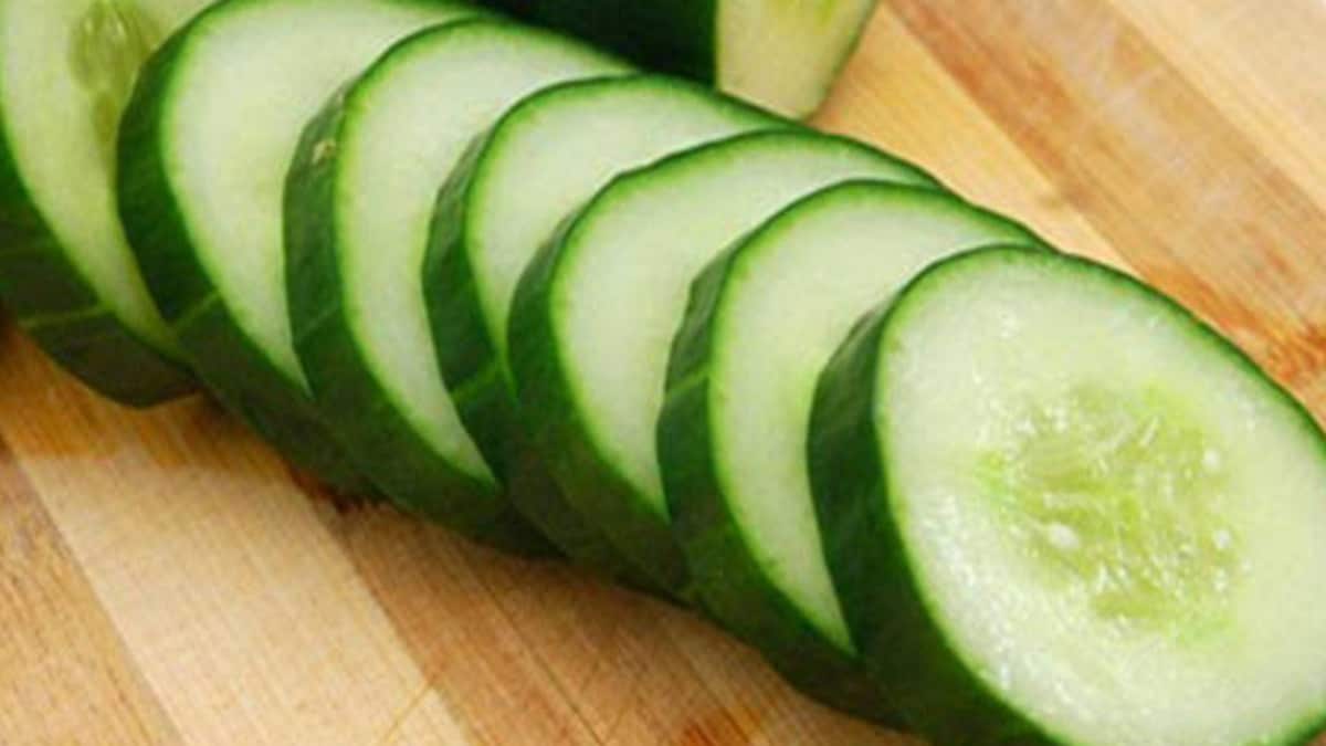 पके हुए भोजन के साथ नहीं खाना चाहिए खीरा, जानिए वजह
Cucumber should not be eaten with cooked food, know the reason