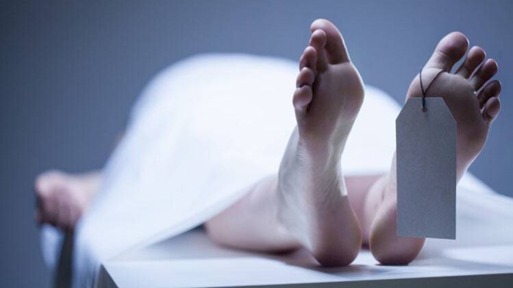 फाइल फोटो. 