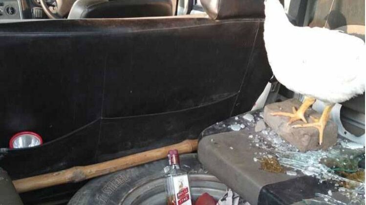 पुलिस की गाड़ी में शराब की बोतल और मुर्गा