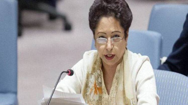 पाकिस्तान की राजदूत मलीहा लोधी