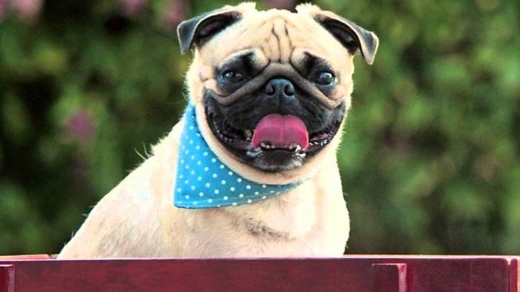 विज्ञापन से लिया गया ग्रैब