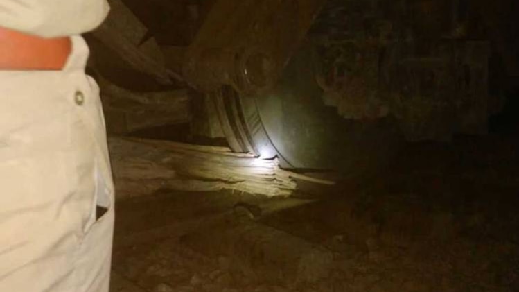 पटरी पर गिरा पेड़