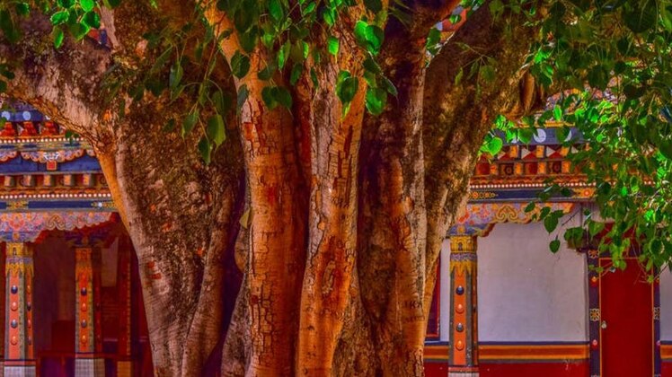 प्रतीकात्मक तस्वीर