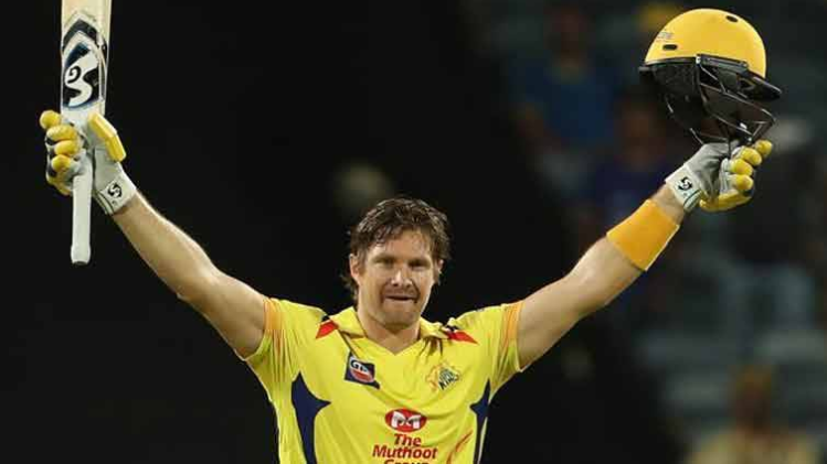 शेन वॉटसन  (ट्विटर)