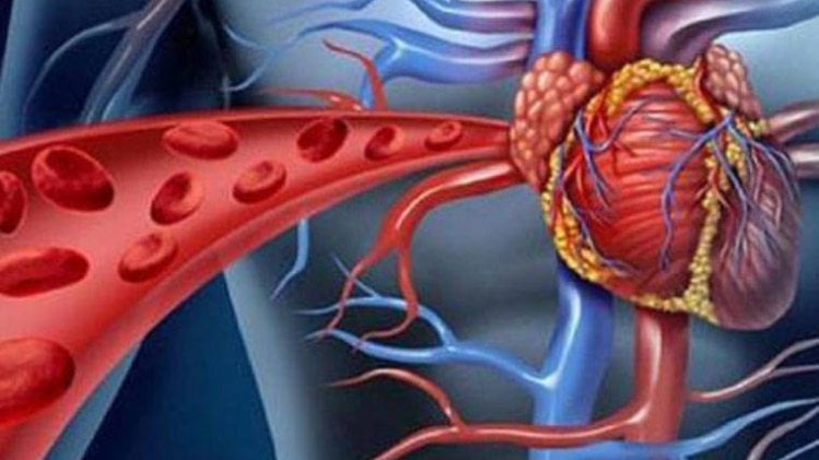 रक्तचाप की समस्या