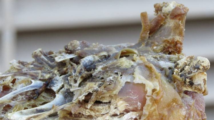 फाइल  फोटो (getty images)