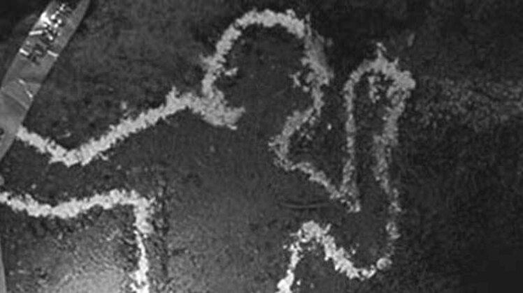 बिहार के लखीसराय जिले में हुई घटना