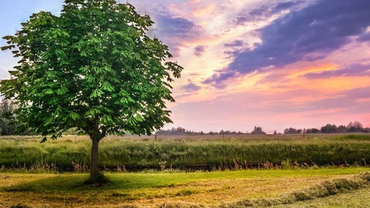 भूमि और भाग्य का संबंध