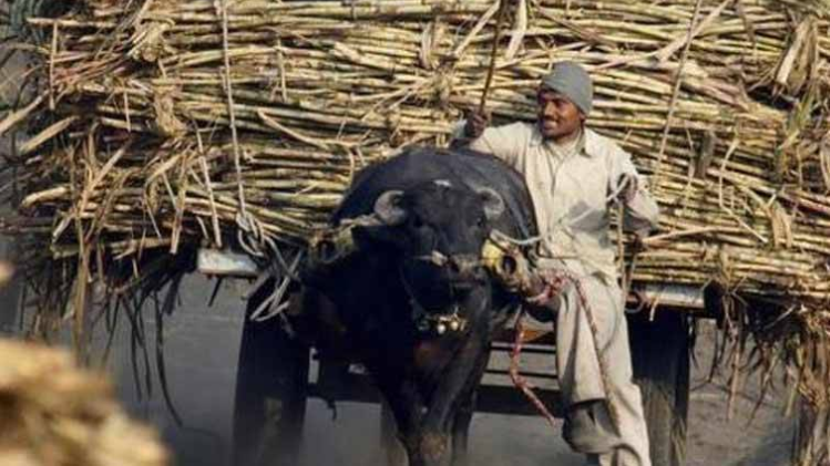 सांकेतिक तस्वीर