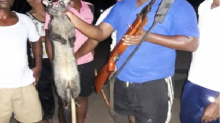 सिवेट कैट को हाथ में लिए पुलिसकर्मी