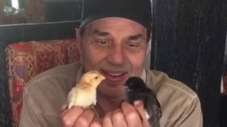 धर्मेंद्र