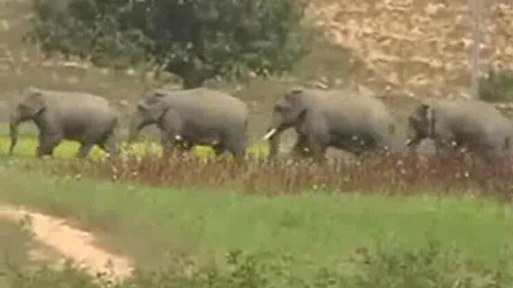 प्रतीकात्मक तस्वीर