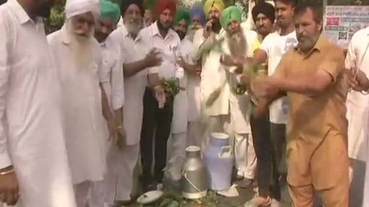 किसानों ने सड़कों पर फेंकी सब्जियां