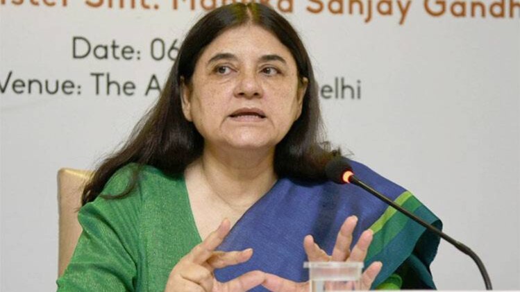 केंद्रीय मंत्री मेनका गांधी, फाइल फोटो