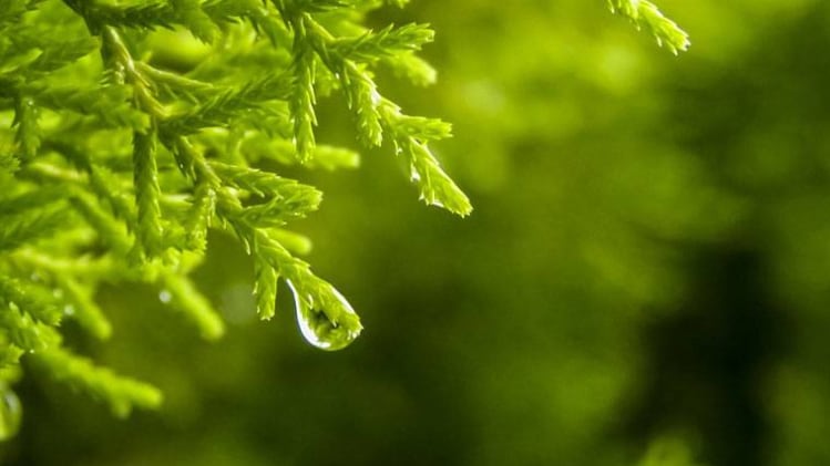 आषाढ़ माह का महत्व