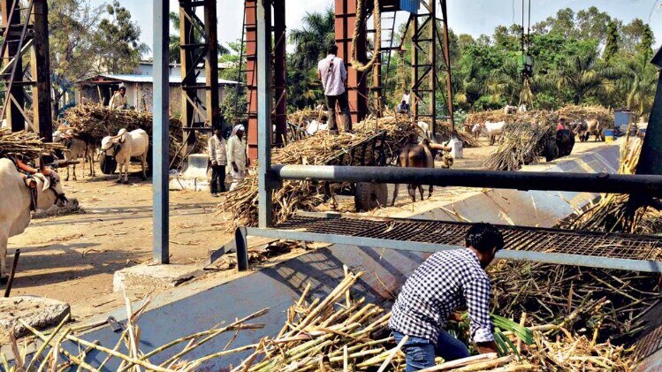 मिलिंद शेल्टे