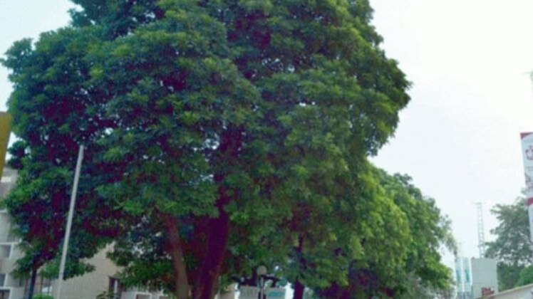 सांकेतिक तस्वीर