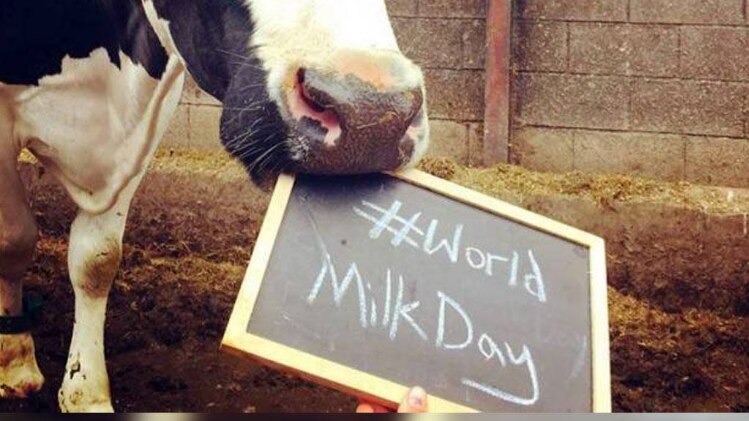world milk day 