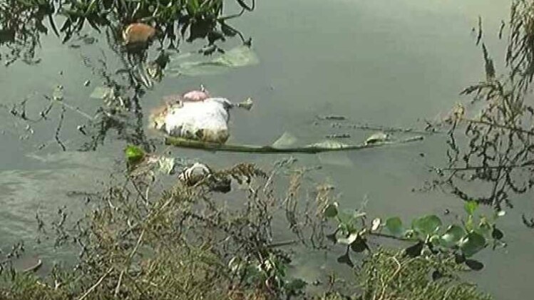 पटना में भी मैली गंगा (फोटो-रोहित कुमार सिंह)