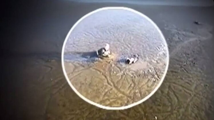 एक ड्रोन कैमरा इस पूरे ऑपरेशन को रिकॉर्ड कर रहा था