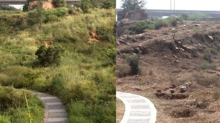 बाएं तरफ अभी की तस्वीर और दाएं तरफ पहले की तस्वीर