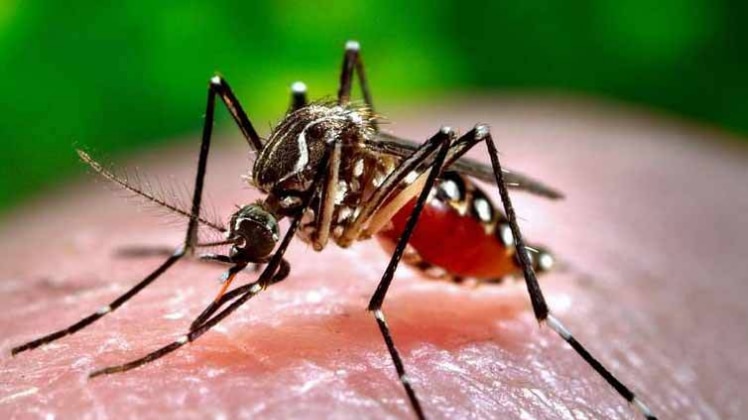 प्रतीकात्मक तस्वीर