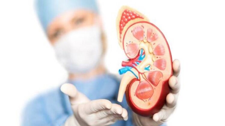 प्रतीकात्मक फोटो