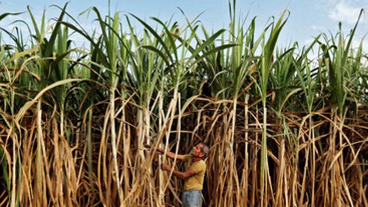 प्रतीकात्मक फोटो