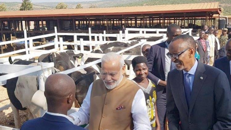 रवांडा में ग्रामीणों को गाय भेंट करते पीएम मोदी