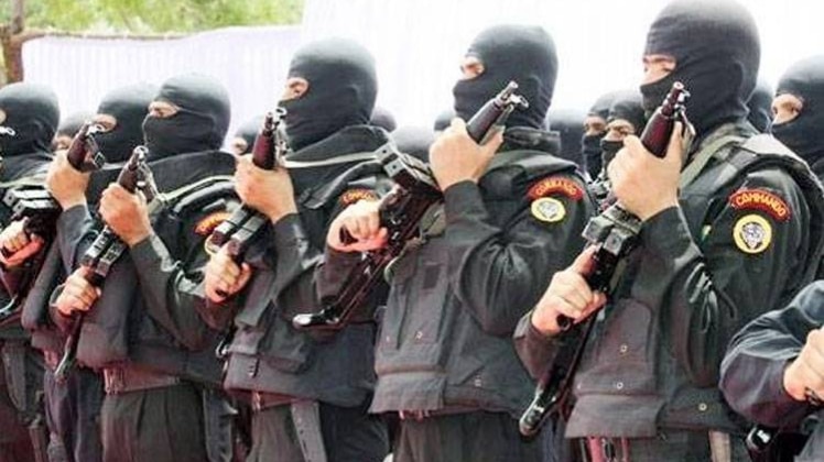 फाइल फोटो