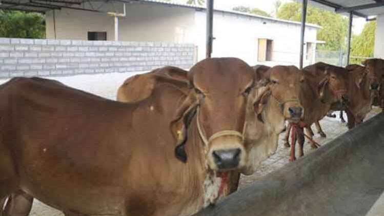 प्रतीकात्मक तस्वीर