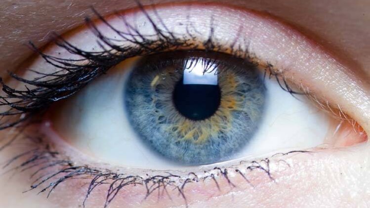 प्रतीकात्मक फोटो