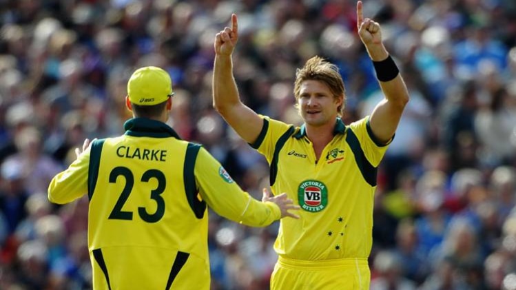 शेन वॉटसन