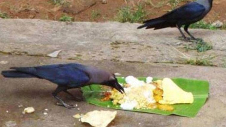 पितृ पक्ष