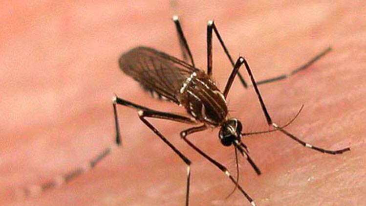 प्रतीकात्मक तस्वीर