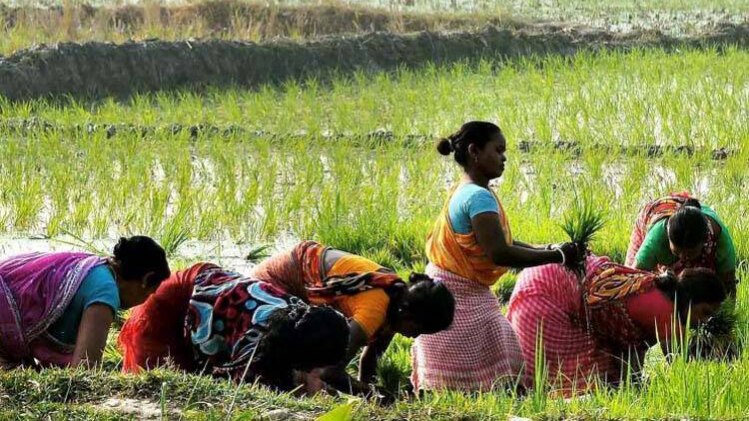 फाइल फोटो