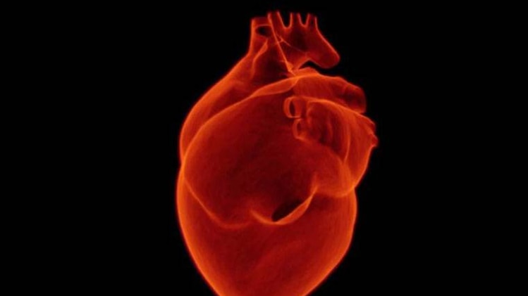 हार्ट ट्रांसप्लांट का विकल्प