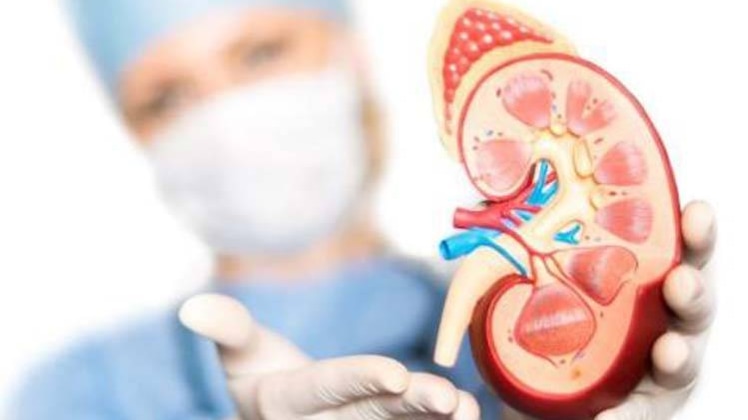 प्रतीकात्मक फोटो