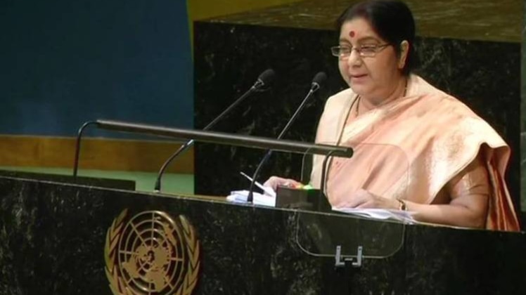 विदेश मंत्री सुषमा स्वराज (फोटो-ANI)