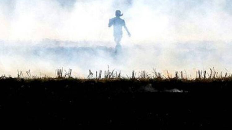 पंजाब में पराली जलाते किसान (रॉयटर)