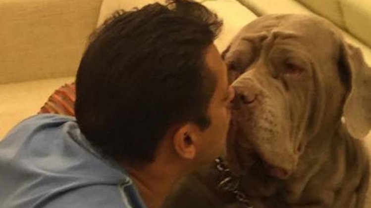 बिग बॉस 12 के वीकेंड का वार में सलमान खान 