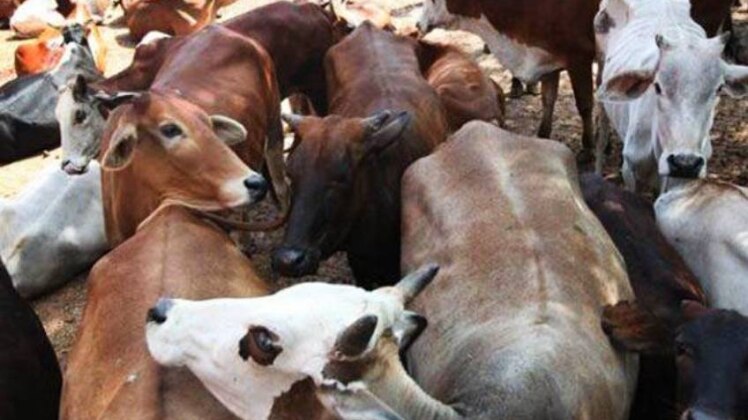 प्रतीकात्मक तस्वीर (इंडिया टुडे आर्काइव)