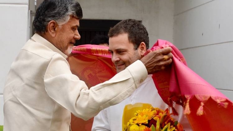 राहुल गांधी और चंद्रबाबू नायडू