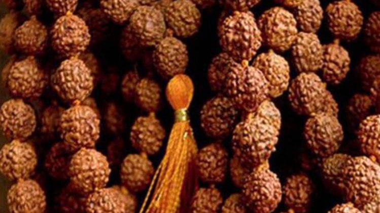 रुद्राक्ष