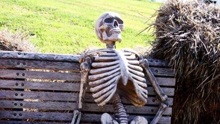 स्मृति ईरानी द्वारा शेयर की गई तस्वीर