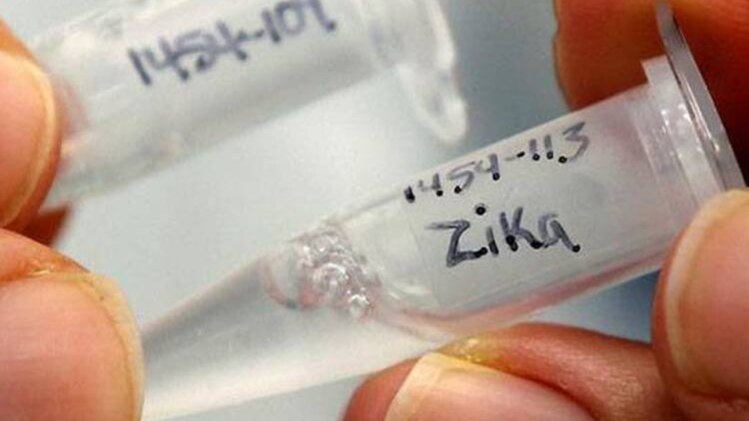 जीका वायरस