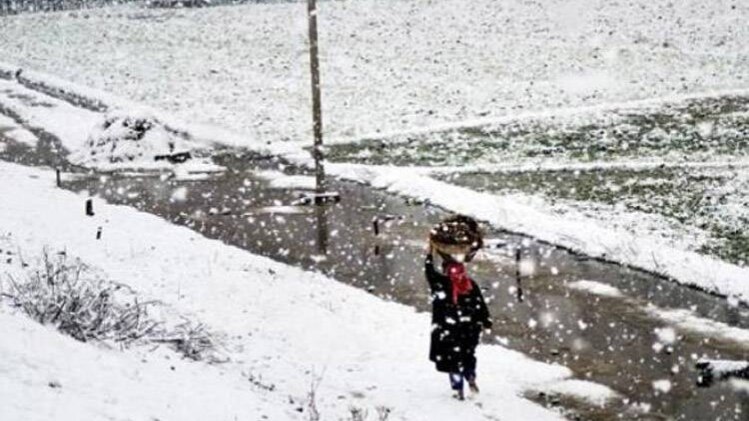 फाइल फोटो