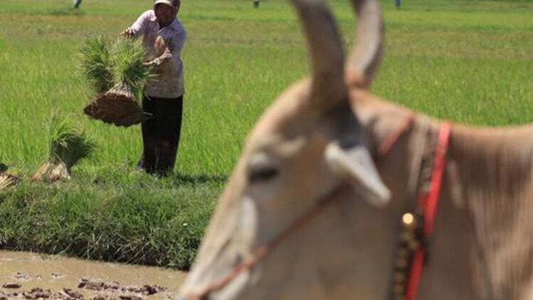 प्रतीकात्मक तस्वीर (रॉयटर्स)