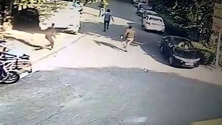 सीसीटीवी फुटेज (वीड‍ियो स्क्रीनशॉट)