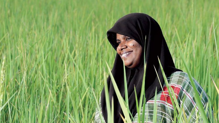 अन्नपूर्णा यास्मीन ने 126 समूह बनाकर धान की खेती को सहकारी रूप दिया